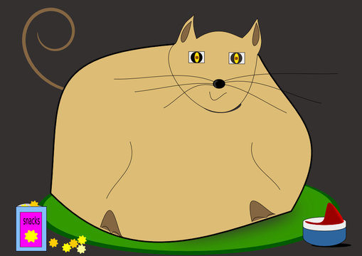 Gato con obesidad m&oacute;rbida y una vida sedentaria.