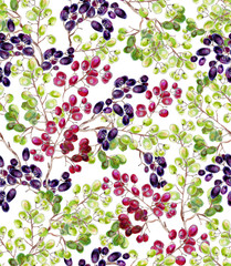 Watercolor branches of grapes.