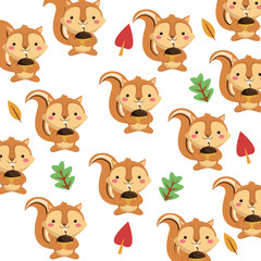 flat design cute squirrel cartoon pattern background vector illustration