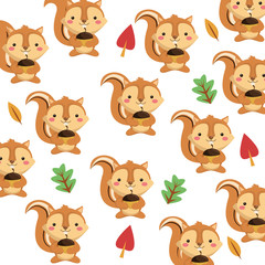 Fototapeta premium flat design cute squirrel cartoon pattern background vector illustration