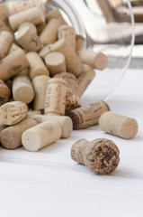 homemade wine making