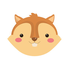 flat design cute squirrel cartoon icon vector illustration