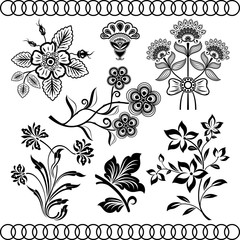 Floral vintage vector design elements isolated on beige backgrou