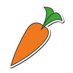 flat design whole carrot icon vector illustration