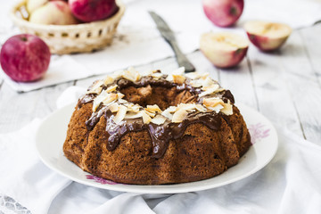 homemade apple cake with chocolate