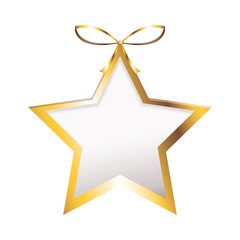 flat design star ornament icon vector illustration