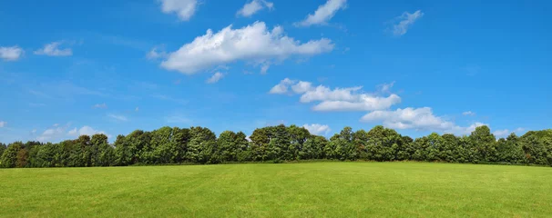 Rolgordijnen Landschaft mit Wiese, Büschen, Bäumen und leichter Bewölkung am Himmel © mirkomedia