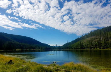 Fototapeta na wymiar See und Waldgebiet im Yellowstone National Park