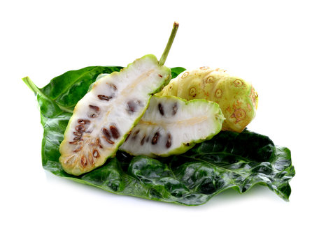 รูปภาพMorinda – เลือกดูภาพถ่ายสต็อก เวกเตอร์ และวิดีโอ3,453 | Adobe Stock