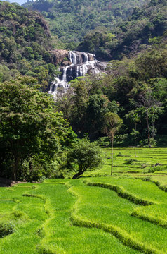 Rathna Ella, at 111 feet, is the 10th highest waterfall in Sri Lanka, situated in Kandy District
