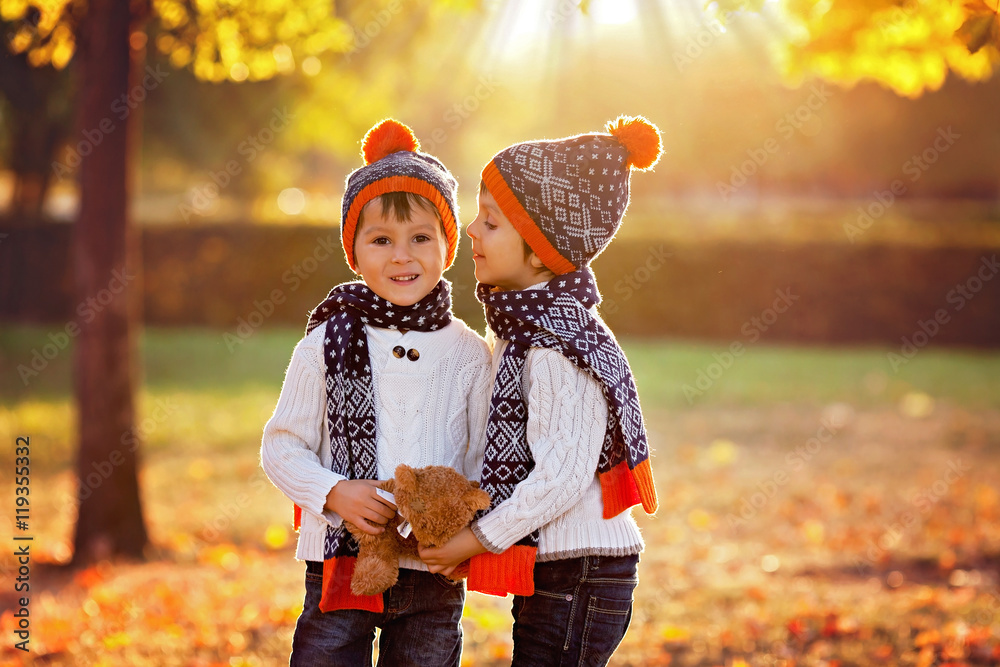 Wall mural Adorable little brothers with teddy bear in park on autumn day