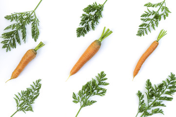 Composition of a carrots and carrot tops on white background