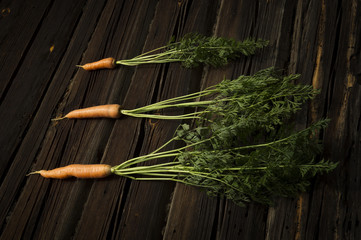 Composition of three carrots with green tops on a wooden background