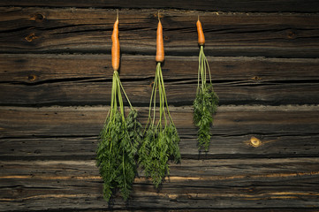 Composition of three carrots with green tops on a wooden background