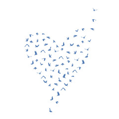 Doves and pigeons set heart shape for peace concept and wedding design. Flying blue birds set. Vector