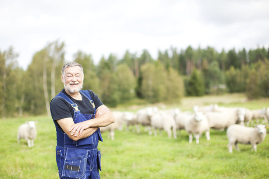 Senior farmer standing on pasture, Smaland, Sweden