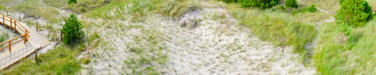 Holzpodest in den Dünen