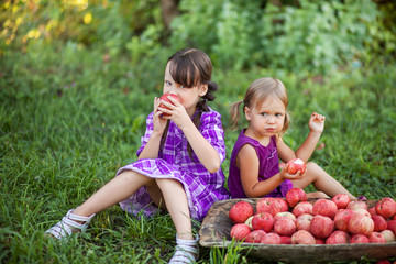 Child eat apple.