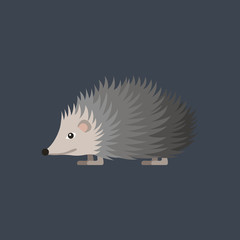 Hedgehog flat illustration.