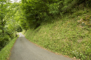 Fototapeta premium Camino de Santiago from Saint Jean Pied de Port to Roncesvalles via Valcarlos