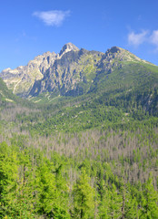 Fototapeta premium Summer mountain landscape. Lomnicky Peak in High Tatras, Slovakia
