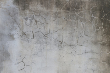 Moldy cement wall texture