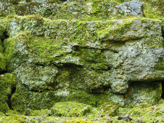 Old rocks with moss