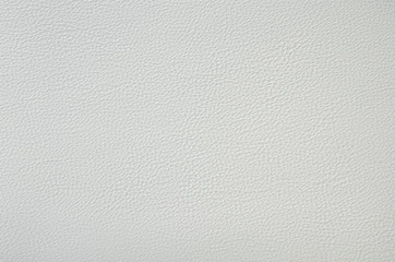 Plakat White leather texture