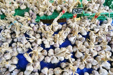 Fresh white garlic in bulk at the farmers market