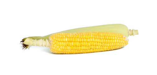 Fresh corn