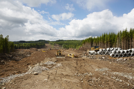 Forest cut, Vastergotland, Sweden