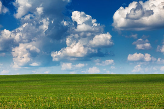 Summer Landscape, Blue Sly With Clouds Above Field.