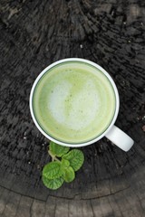 Green tea and milk on wood background.