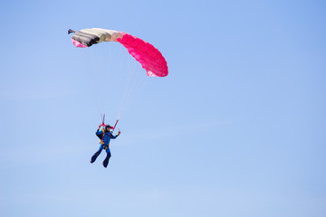 skydiver with pink gray parachute on clear blue sky