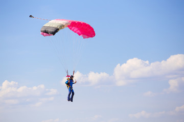 skydiver with pink gray parachute on blue sky with cloud