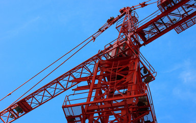 The red crane in construction