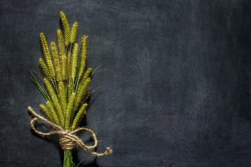 Field spikelets and grass