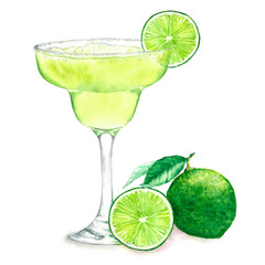 Hand drawn watercolor illustration of fresh Margarita cocktail with green limes isolated on the white background