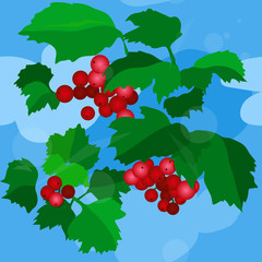 Viburnum (guelder rose) berries and leaves pattern