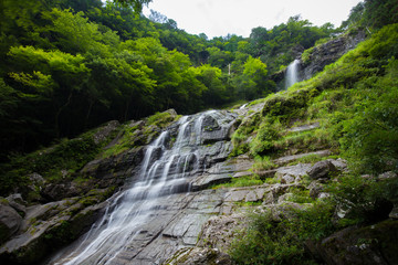 Fototapeta na wymiar 程野の滝　東滝（高知県いの町）