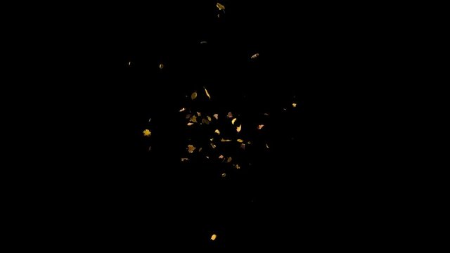 Falling autumn yellow leaves away from camera, cross frame forward transition, wide close up view,  isolated on alpha channel with black white matte, perfect for digital composition film video mapping