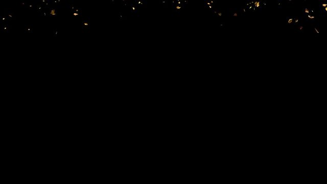 Falling autumn yellow leaves from top in slow motion, close wide view, with start and end, isolated on alpha channel with black white matte, perfect for digital composition, film video mapping
