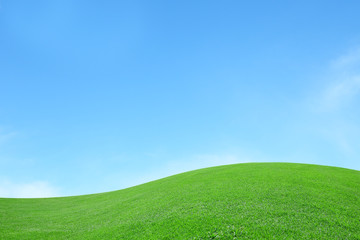 background of green field with blue sky