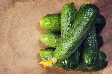 gherkin cucumbers fresh green  with a yellow flower in the stack