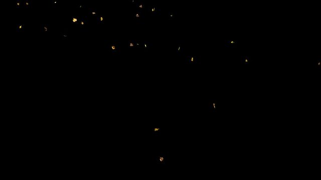 Falling autumn yellow leaves from top in slow motion, far away wide view, with start and end, isolated on alpha channel with black white matte, perfect for digital composition, film video mapping