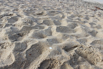 Ocean Sand Pattern