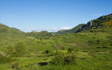 Fototapeta na wymiar Paisaje Montañoso Verde en Primavera