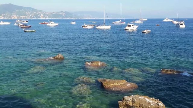 ligurian seascape near Paraggi bay in summer time