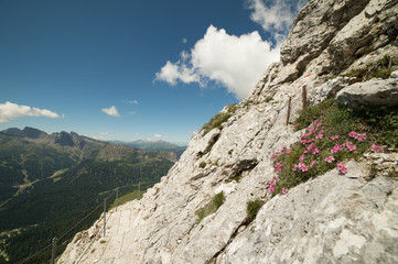 sentieri d'alta montagna