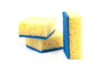 sponges isolated